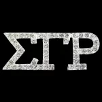 SILVER BLING PIN - SGR